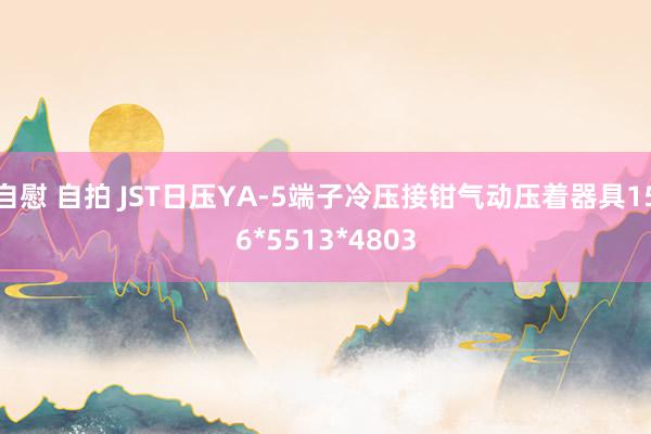 自慰 自拍 JST日压YA-5端子冷压接钳气动压着器具156*5513*4803