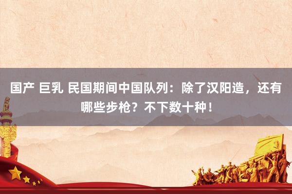 国产 巨乳 民国期间中国队列：除了汉阳造，还有哪些步枪？不下数十种！